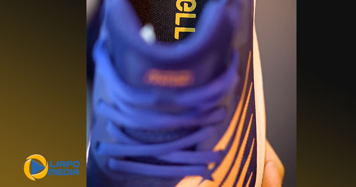 نمونه کار اینستاگرام لیافو